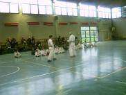 A lezione di karate (11)