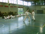 A lezione di karate (20)