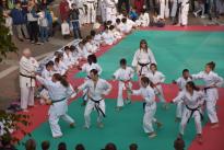 karate in piazza (1) (Copia)