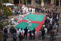 karate in piazza (3) (Copia)