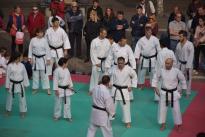 karate in piazza (9) (Copia)