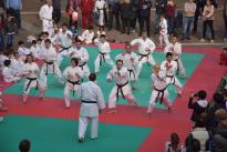 karate in piazza (10) (Copia)
