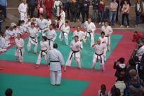 karate in piazza (11) (Copia)