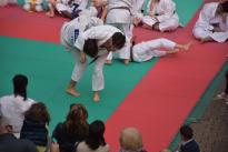 karate in piazza (18) (Copia)