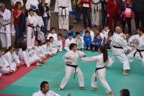 karate in piazza (59) (Copia)