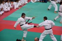 karate in piazza (58) (Copia)