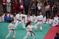 karate in piazza (60) (Copia)