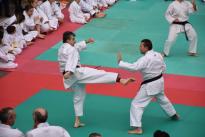 karate in piazza (61) (Copia)