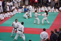 karate in piazza (64) (Copia)