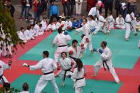 karate in piazza (65) (Copia)
