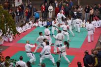 karate in piazza (67) (Copia)