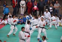 karate in piazza (68) (Copia)