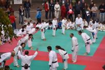 karate in piazza (73) (Copia)