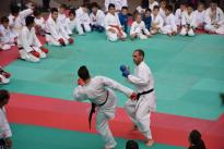 karate in piazza (76) (Copia)