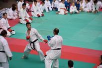 karate in piazza (75) (Copia)