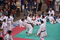 karate in piazza (78) (Copia)
