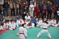 karate in piazza (80) (Copia)