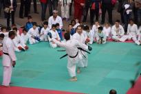 karate in piazza (79) (Copia)