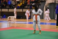 karate (16) (Copia)