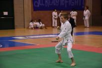 karate (42) (Copia)