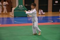 karate (49) (Copia)