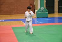 karate (58) (Copia)
