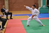 karate (74) (Copia)
