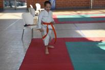 rogeno karate (4)