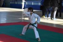 rogeno karate (5)