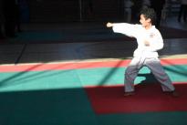 rogeno karate (53)