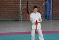 rogeno karate (62)