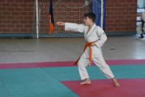 rogeno karate (65)