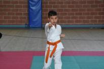 rogeno karate (71)
