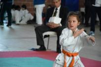 rogeno karate (75)