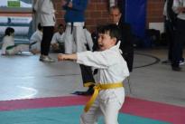rogeno karate (80)
