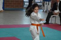 rogeno karate (83)