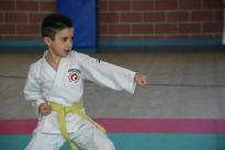 rogeno karate (92)