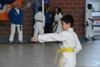 rogeno karate (95)