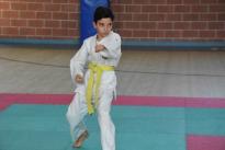 rogeno karate (98)