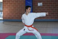 rogeno karate (100)