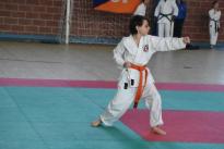 rogeno karate (105)