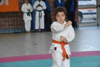 rogeno karate (104)