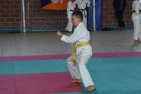 rogeno karate (107)