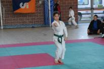 rogeno karate (112)