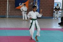 rogeno karate (116)