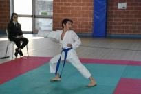 rogeno karate (115)