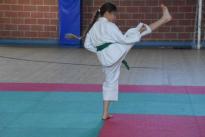 rogeno karate (119)