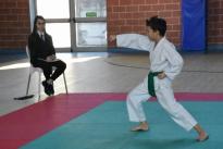rogeno karate (120)