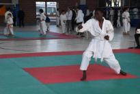 rogeno karate (130)