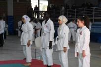 rogeno karate (133)